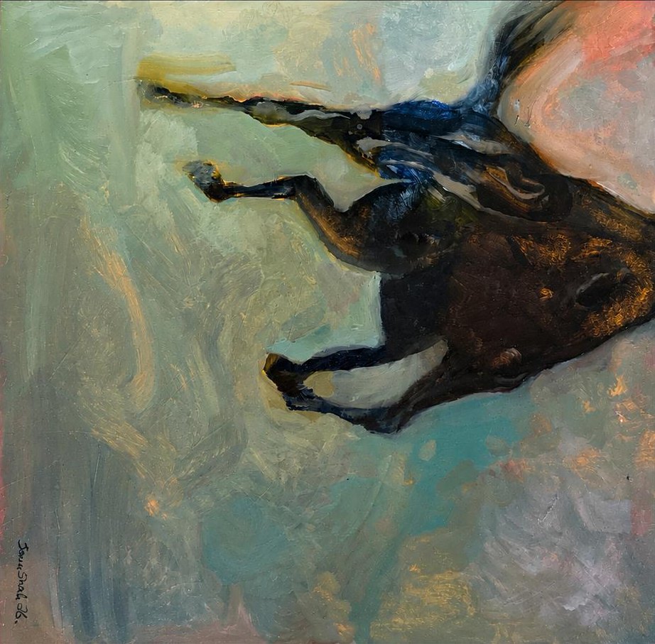 Falling in Silence by Sana Shah